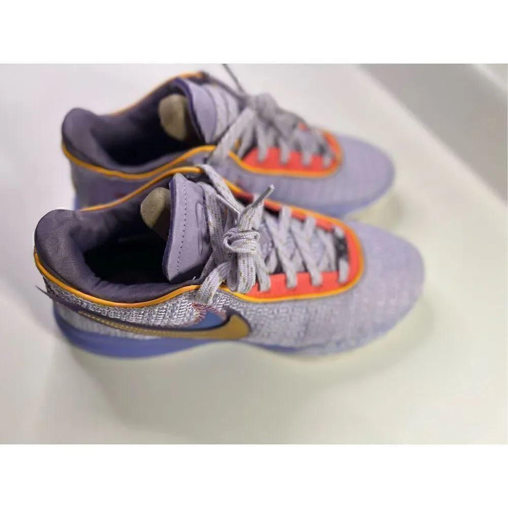 LeBron XX “Purple and Gold” BRAND NEW WITH BOX
